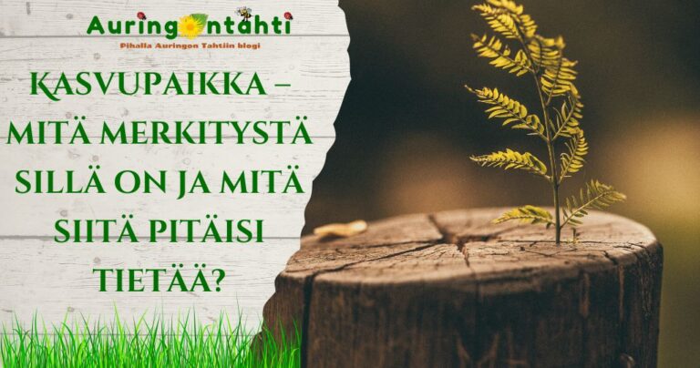Kasvupaikka – mitä merkitystä sillä on ja mitä siitä pitäisi tietää?