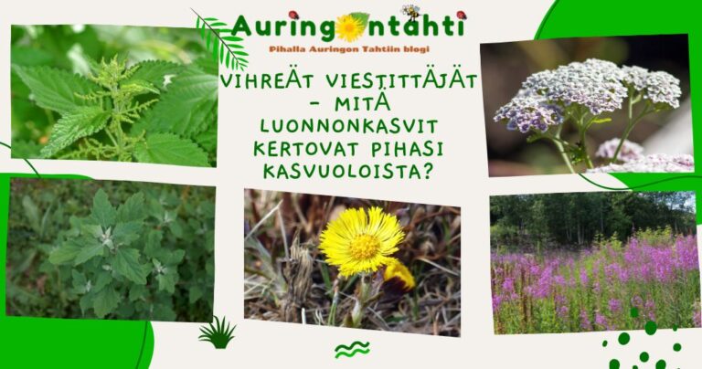 Vihreät viestittäjät – mitä luonnonkasvit kertovat pihasi kasvuoloista?