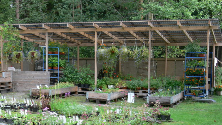 Taimitarha herää eloon talven jälkeen