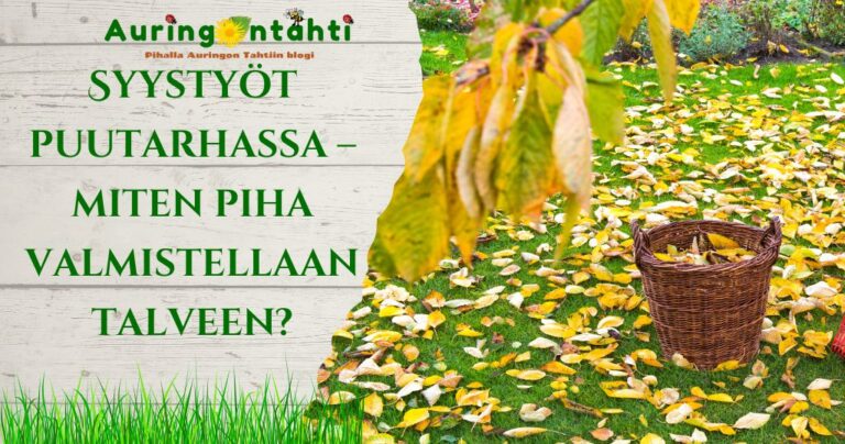 Syystyöt puutarhassa – miten piha valmistellaan talveen