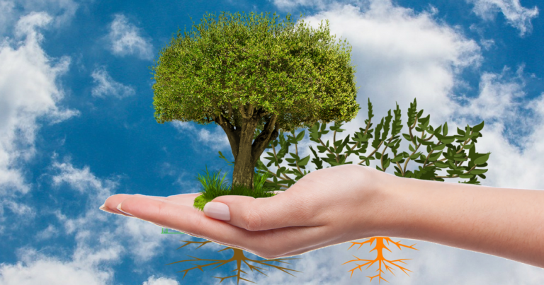 Pihan peruskorjaus – opi tuntemaan pihasi