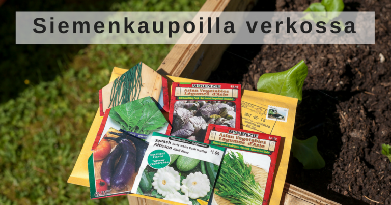 Tilaatko siemeniä verkosta? Tästä löydät omat suosikkini vertailussa.