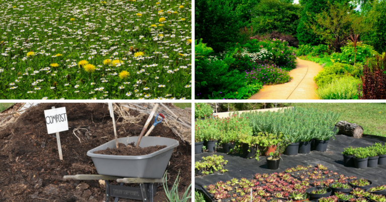 Luomupihan hoito – muista nämä 4 kulmakiveä