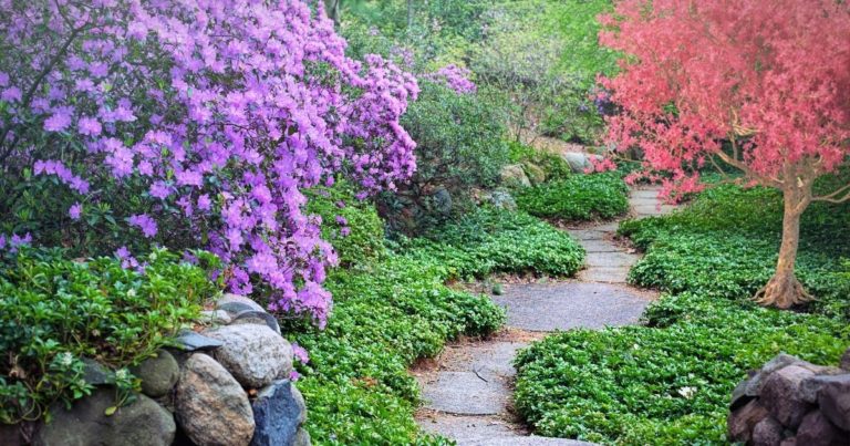 Miten syntyy Iloinen Puutarha?