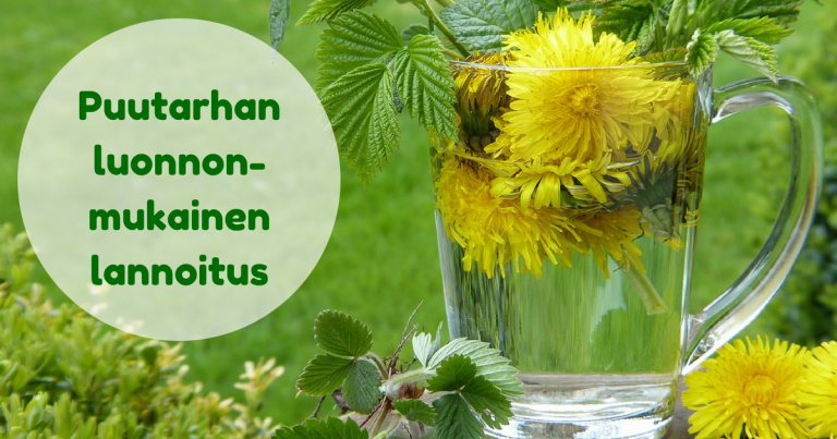 Näin lannoitat luonnonmukaisesti