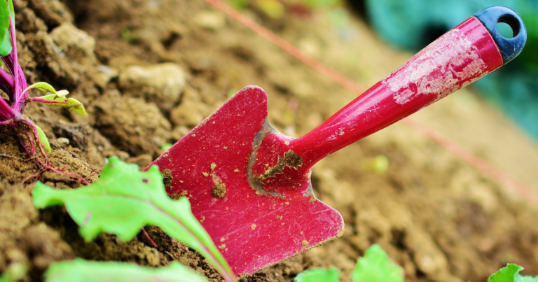 Miten tehdään maanparannus?