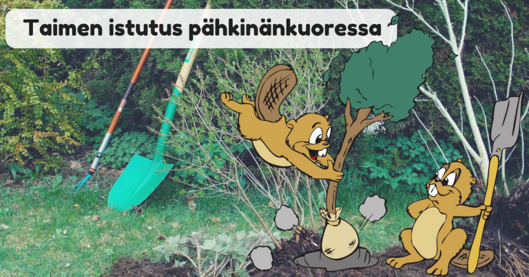 Uusia kasveja pihaan – taimien istutus pähkinänkuoressa!