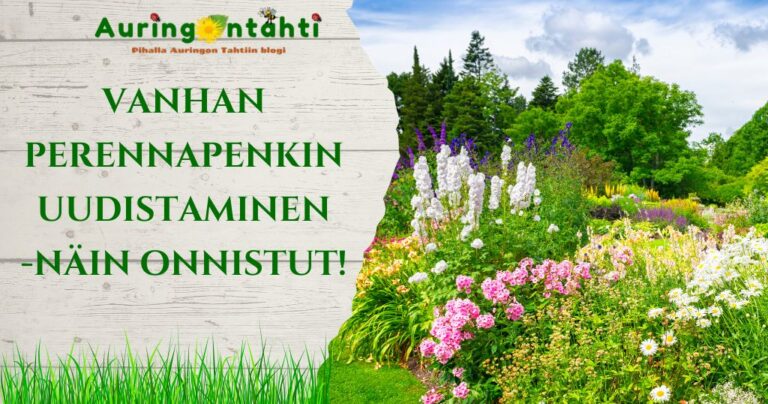 Vanhan perennapenkin uudistaminen – näin onnistut!