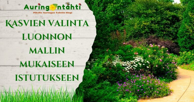 Kasvien valinta luonnon mallin mukaiseen istutukseen