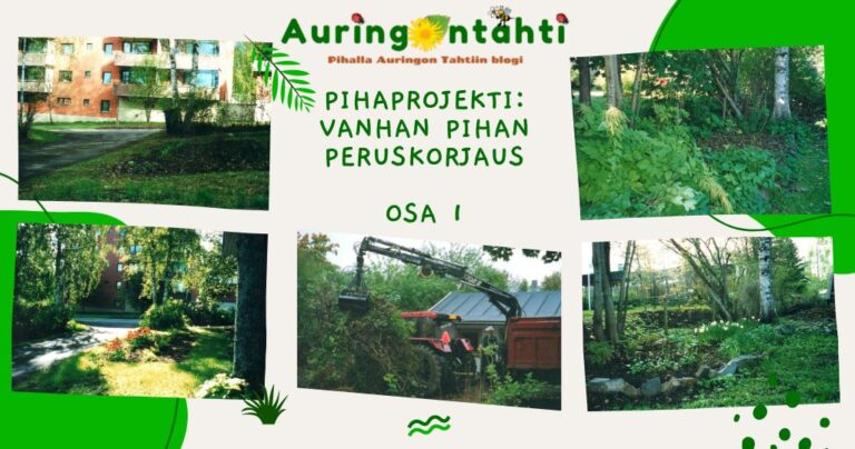 Pihaprojekti – vanhan pihan peruskorjaus, osa 1