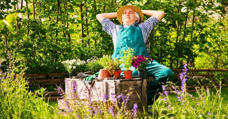 Helppohoitoinen piha on myös luontoystävällinen