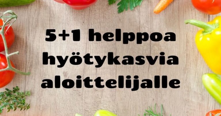 5+1 helppoa hyötykasvia aloittelijalle