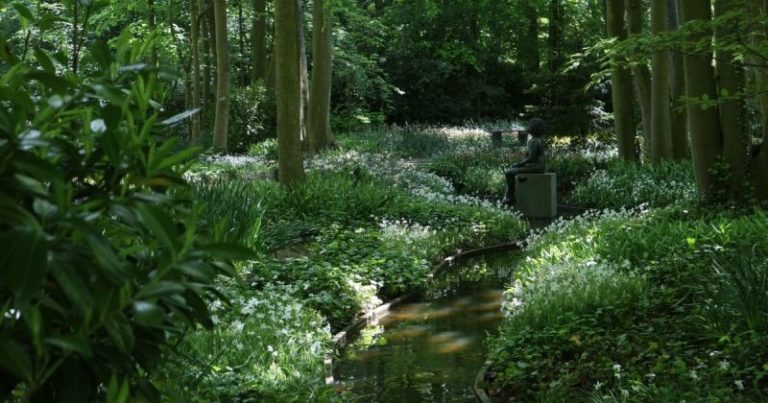 Metsäpuutarha kolmella eri tavalla